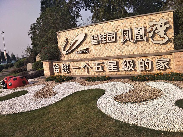 草坪案例