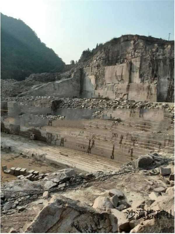 沙漠棕荔枝板面