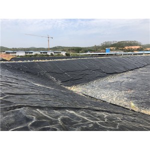绿湖农牧40万立方沼气工程