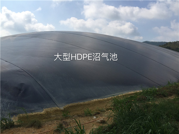 天心种猪大型1万立方沼气工程