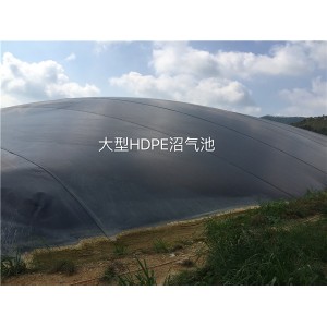 天心种猪大型1万立方沼气工程