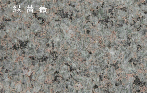 绿蔷薇