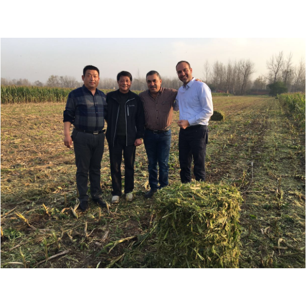 山东粉碎型打捆机生产现场