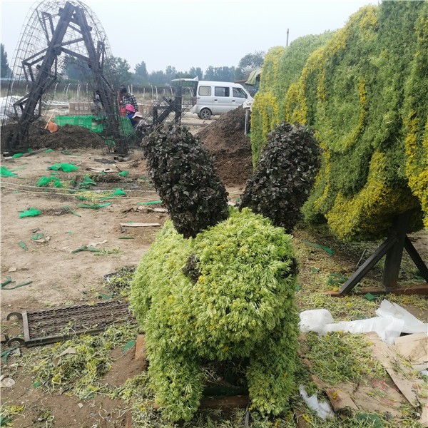 植物绿雕造型