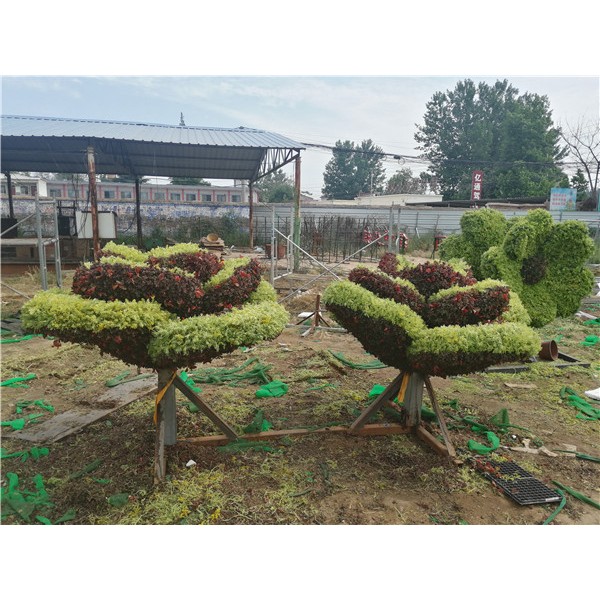 植物绿雕造型