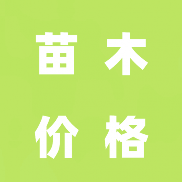 苗木价格