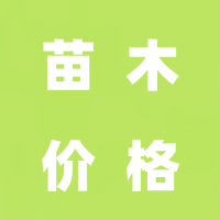 苗木价格