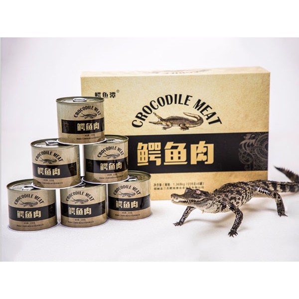 鳄鱼礼品盒