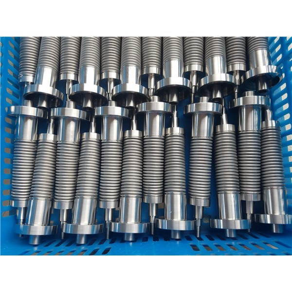 带阀杆波纹管组件