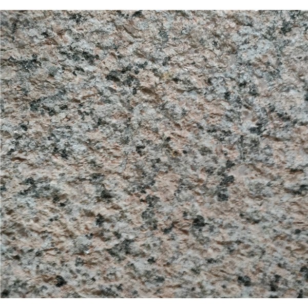 桂林红枫叶中红荔枝面