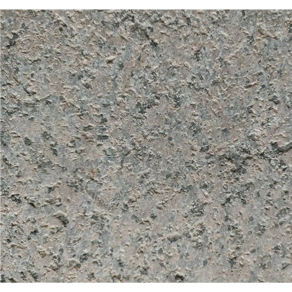 桂林红枫叶中红烧面