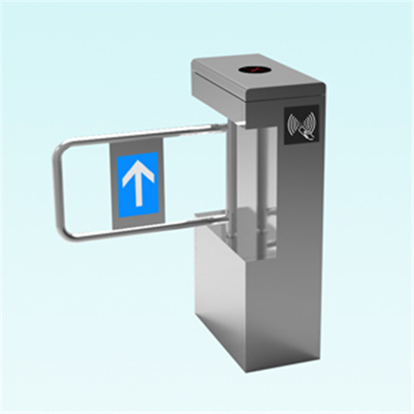 立式摆闸