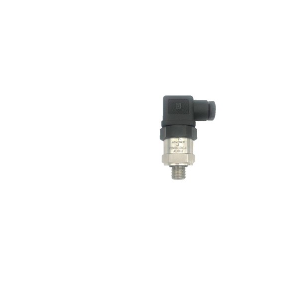 P3601-16 压力变送器