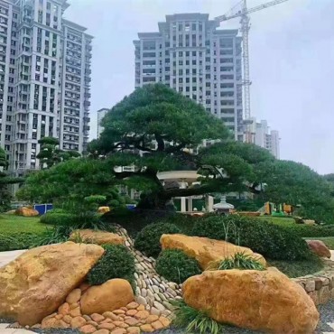 园林景观类