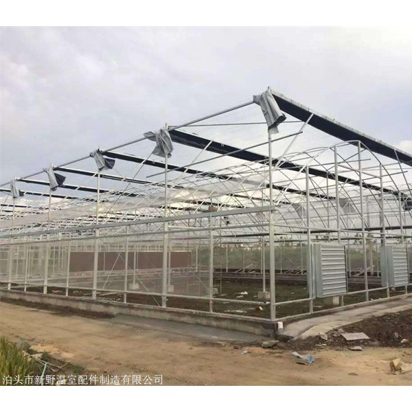 连栋温室大棚