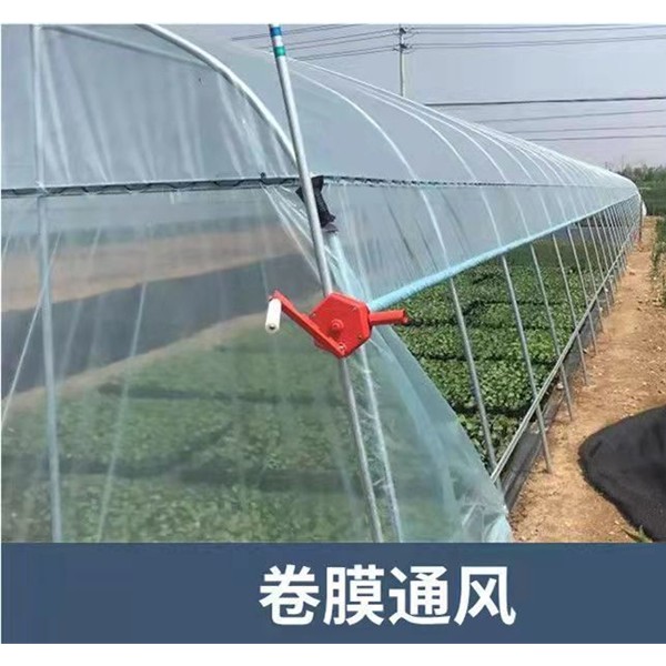 单体大棚