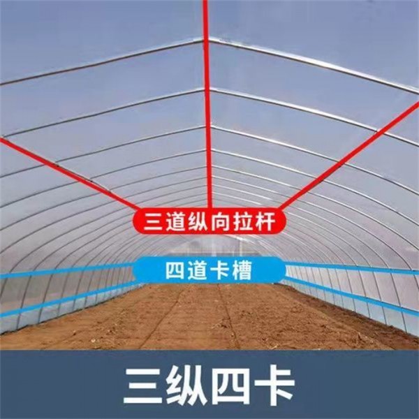 单体大棚
