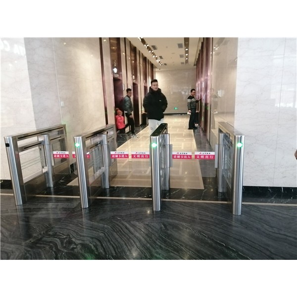 摆闸