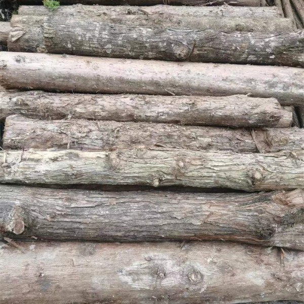 加工材料