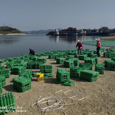 浮岛工程