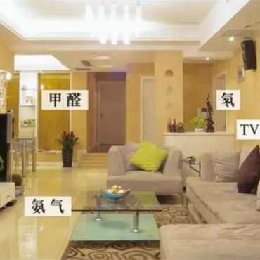除甲醛公司