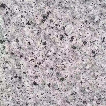 珍珠兰