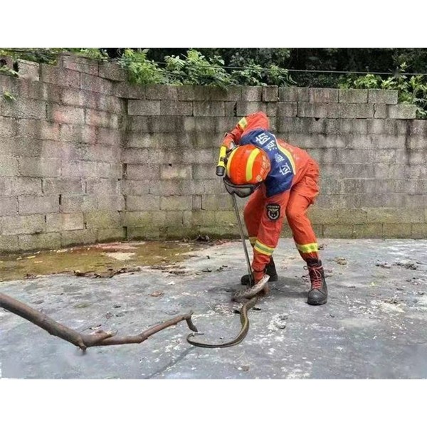 防蛇，蛇患
