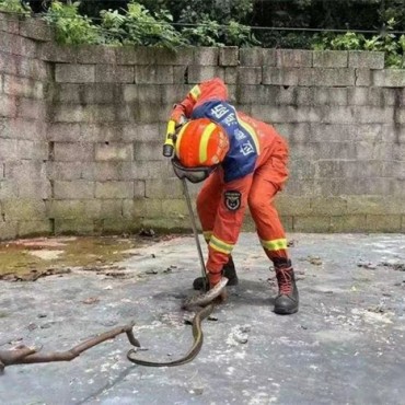 防蛇，蛇患