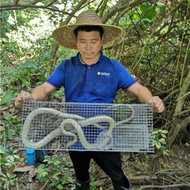 捕蛇
