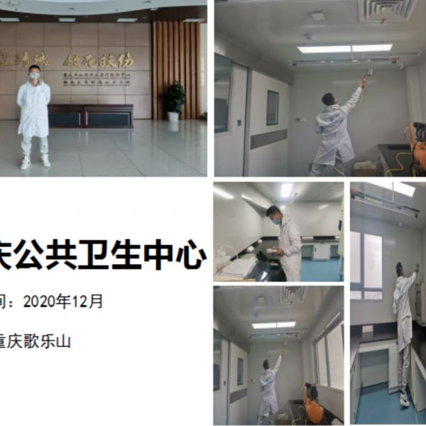 重庆公共卫生中心甲醛治理